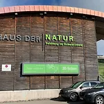 Heimweg * Feldberg (Baden-Wurttemberg)