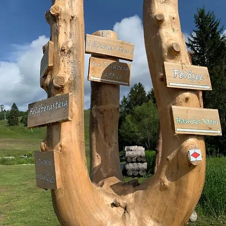 Daire Heimweg Feldberg (Baden-Wurttemberg)