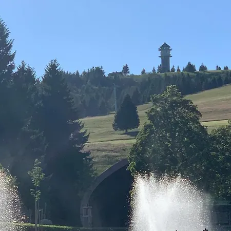 Heimweg Feldberg (Baden-Wurttemberg)