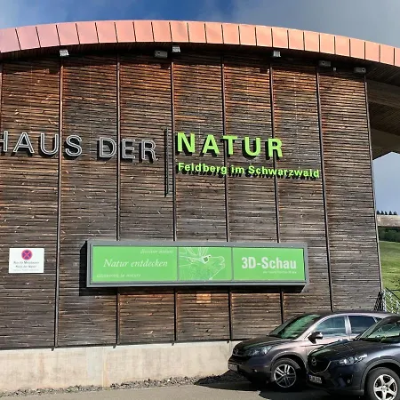 Heimweg * Feldberg (Baden-Wurttemberg)