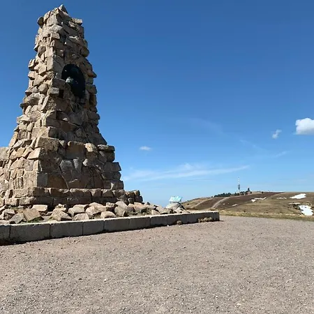 Heimweg Daire Feldberg (Baden-Wurttemberg)