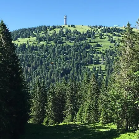 Daire Heimweg Feldberg (Baden-Wurttemberg)