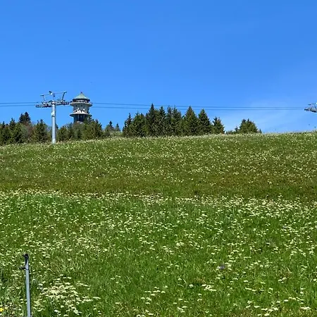 Heimweg Daire Feldberg (Baden-Wurttemberg)