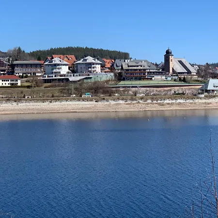 Heimweg * Feldberg (Baden-Wurttemberg)
