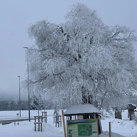 Heimweg Feldberg (Baden-Wurttemberg)