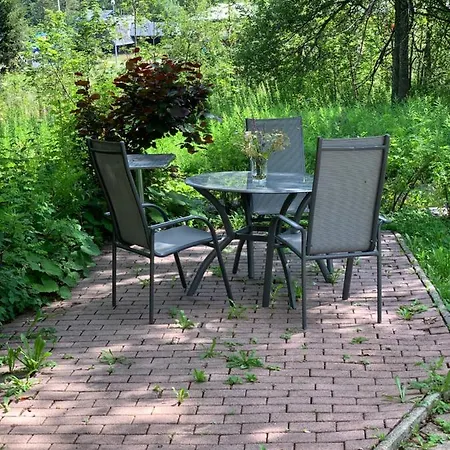 Heimweg * Feldberg (Baden-Wurttemberg)