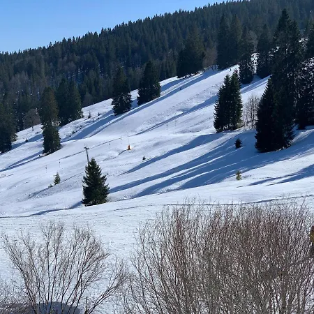 Heimweg * Feldberg (Baden-Wurttemberg)