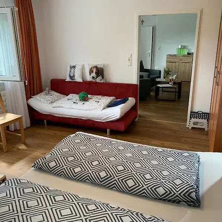 Heimweg Feldberg (Baden-Wurttemberg)