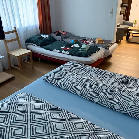 Heimweg * Feldberg (Baden-Wurttemberg)