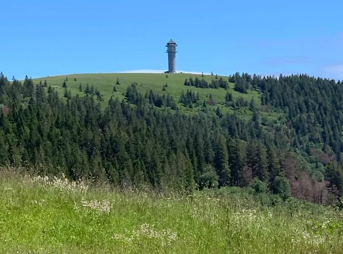 Heimweg 公寓 费尔德伯格